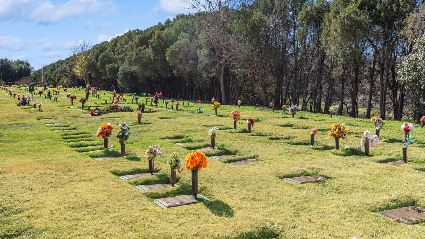 Funeral Homes Dallas, TX